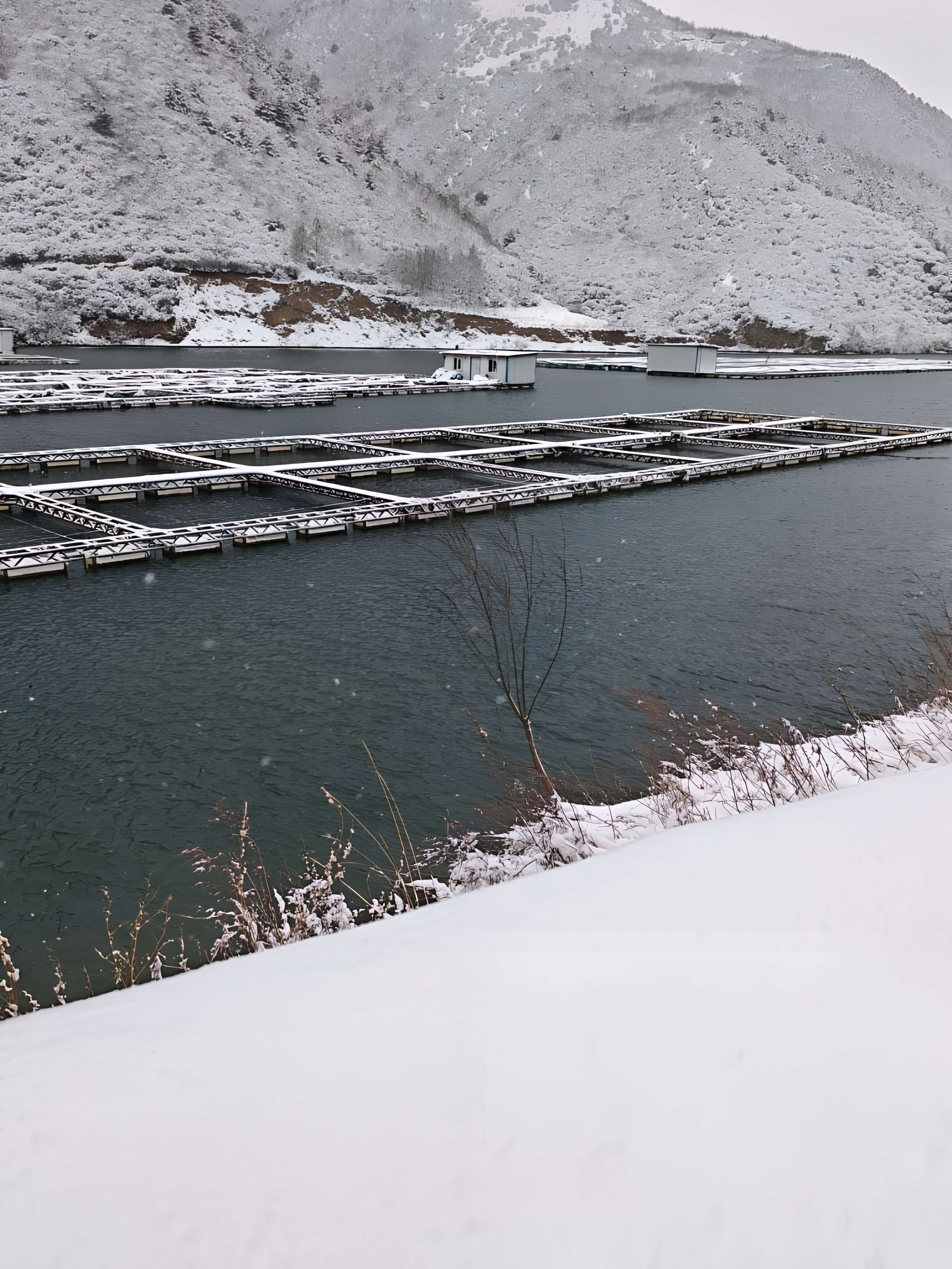 冬季雪景下的養殖網箱